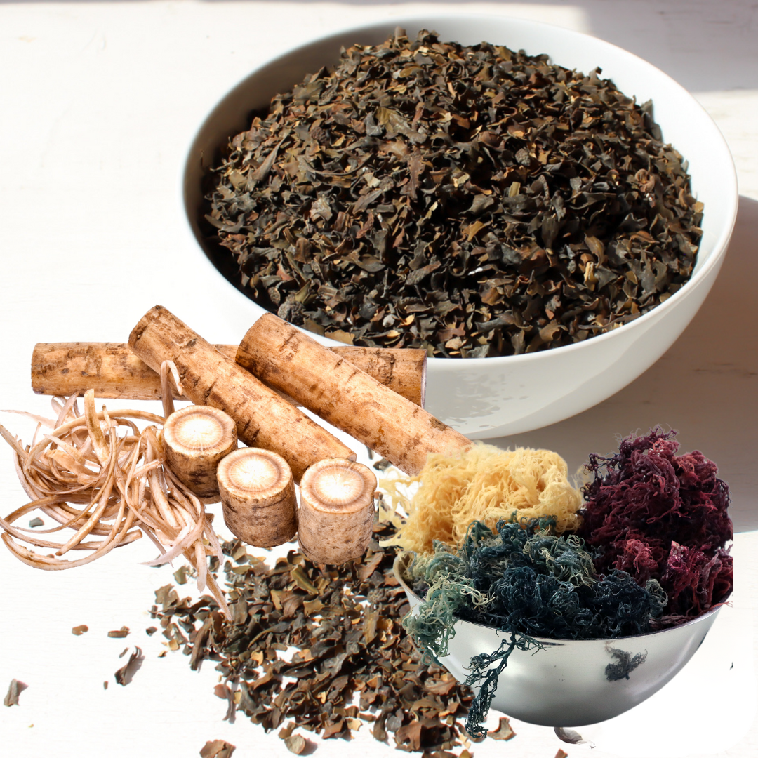 Atlantic Gold Sea Moss - Wholesale Oral Supplement/Vitamin - 92 Minerals Sea Moss Gel | Bladderwrack, Burdock Root1