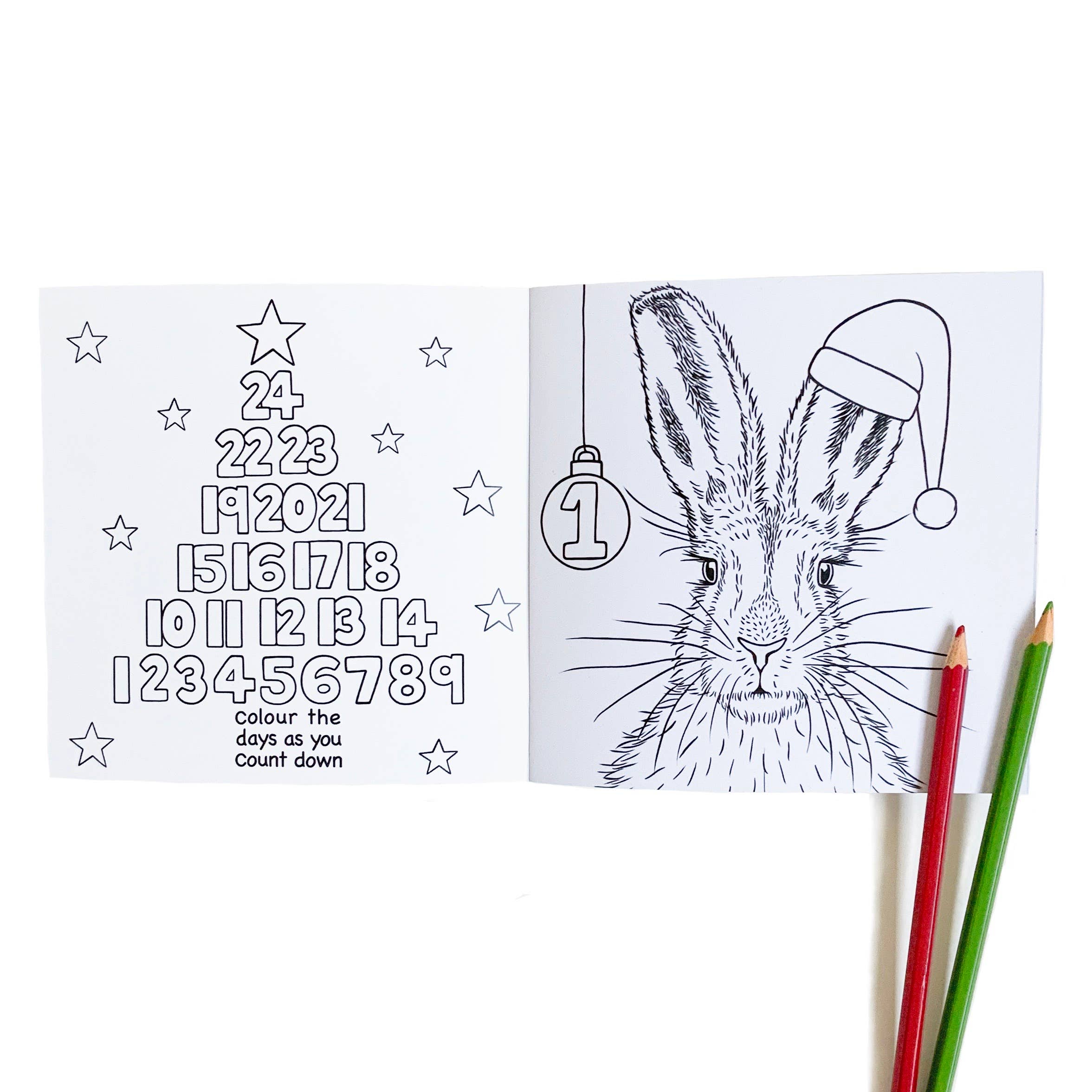 Wild Lines - Wholesale Coloring & Activity Book - Kids & Baby - Wild Advent Colouring Book - Kids Advent Calendar Activity3