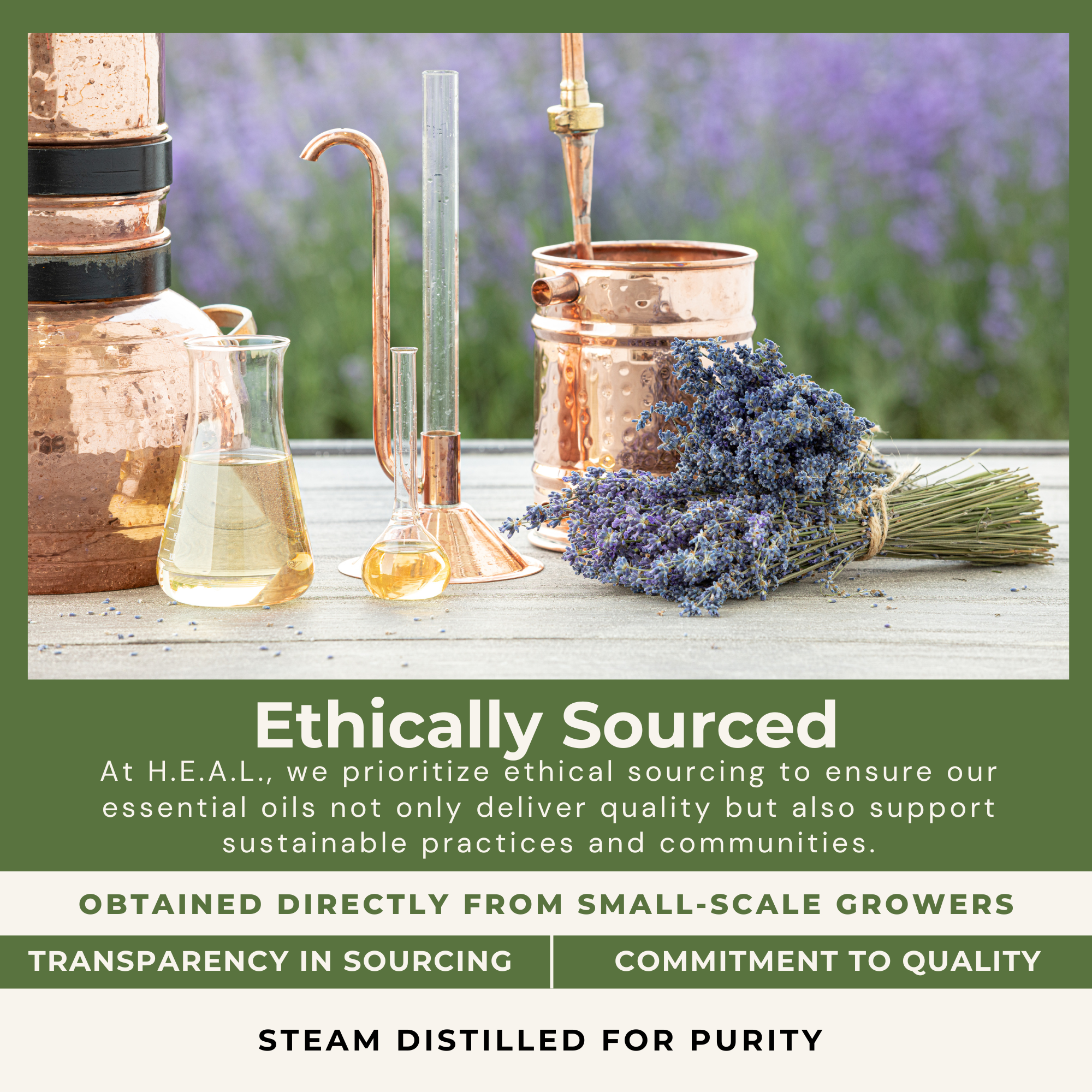 Healthy Energy Amazing Life - Wholesale Essential Oil - H.E.A.L.'s Essential Oils - Bergamot6