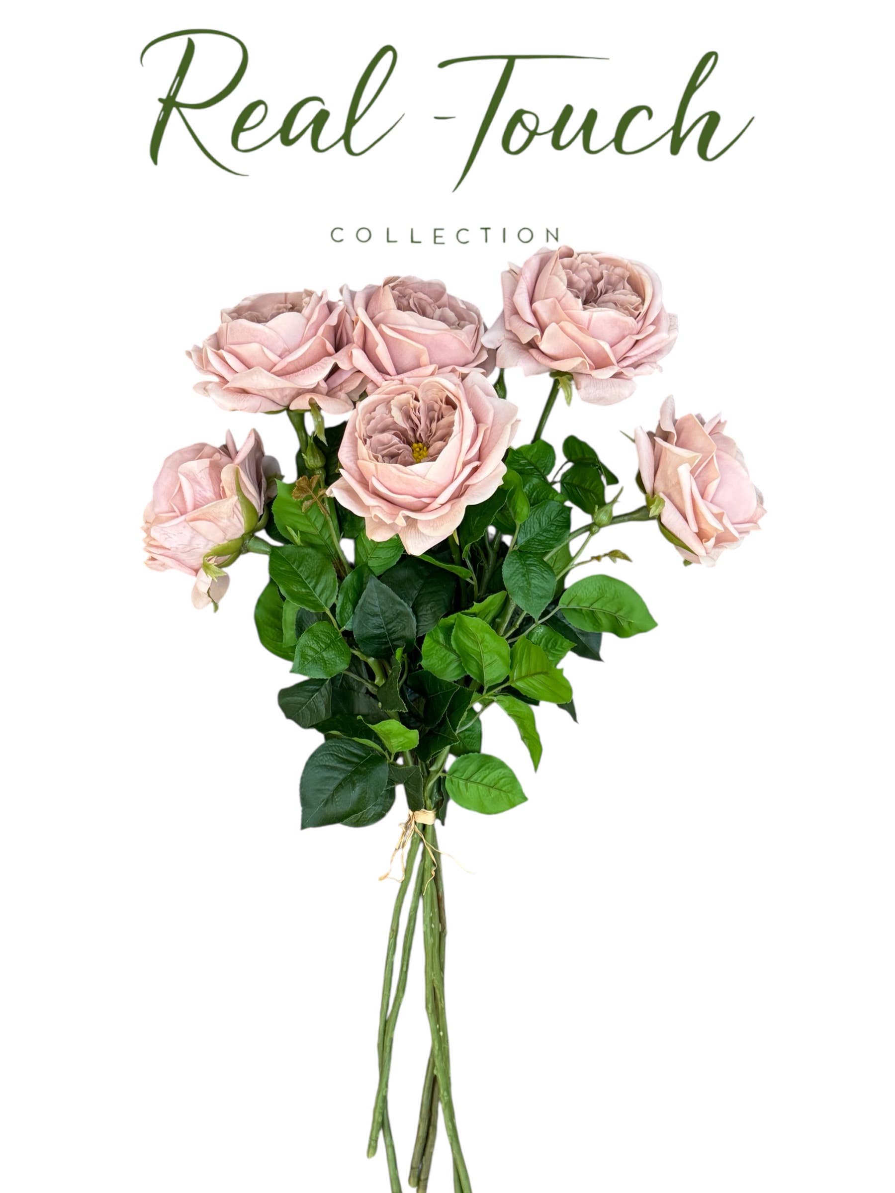 Angel Isabella - Wholesale Artificial flowers - 27"-Lux Faux Juliet Rose-Moisturizing Finish-5"Bloom14