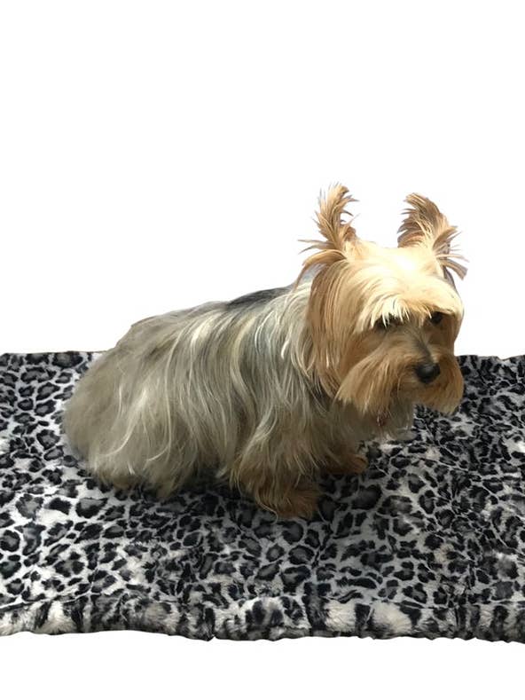 Blanket, Leopard Steel for wholesale by The Dog Squad