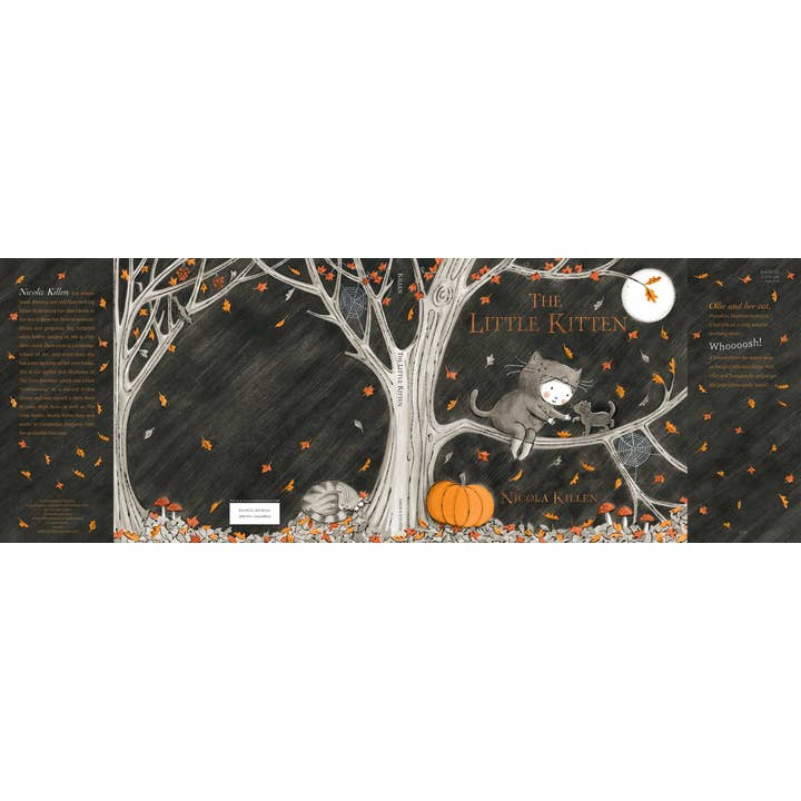 Simon & Schuster - Wholesale Preschool Book (3-5) - Little Kitten by Nicola Killen1