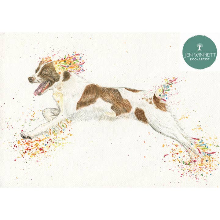 Spring the Spaniel Signed Watercolour Art Dog Print for wholesale by Jen Winnett Eco Artist