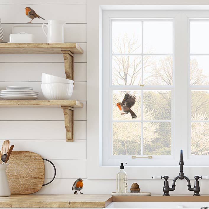 MYRTE - Vente Autocollant mural - Autocollant mural Illustration Robin1