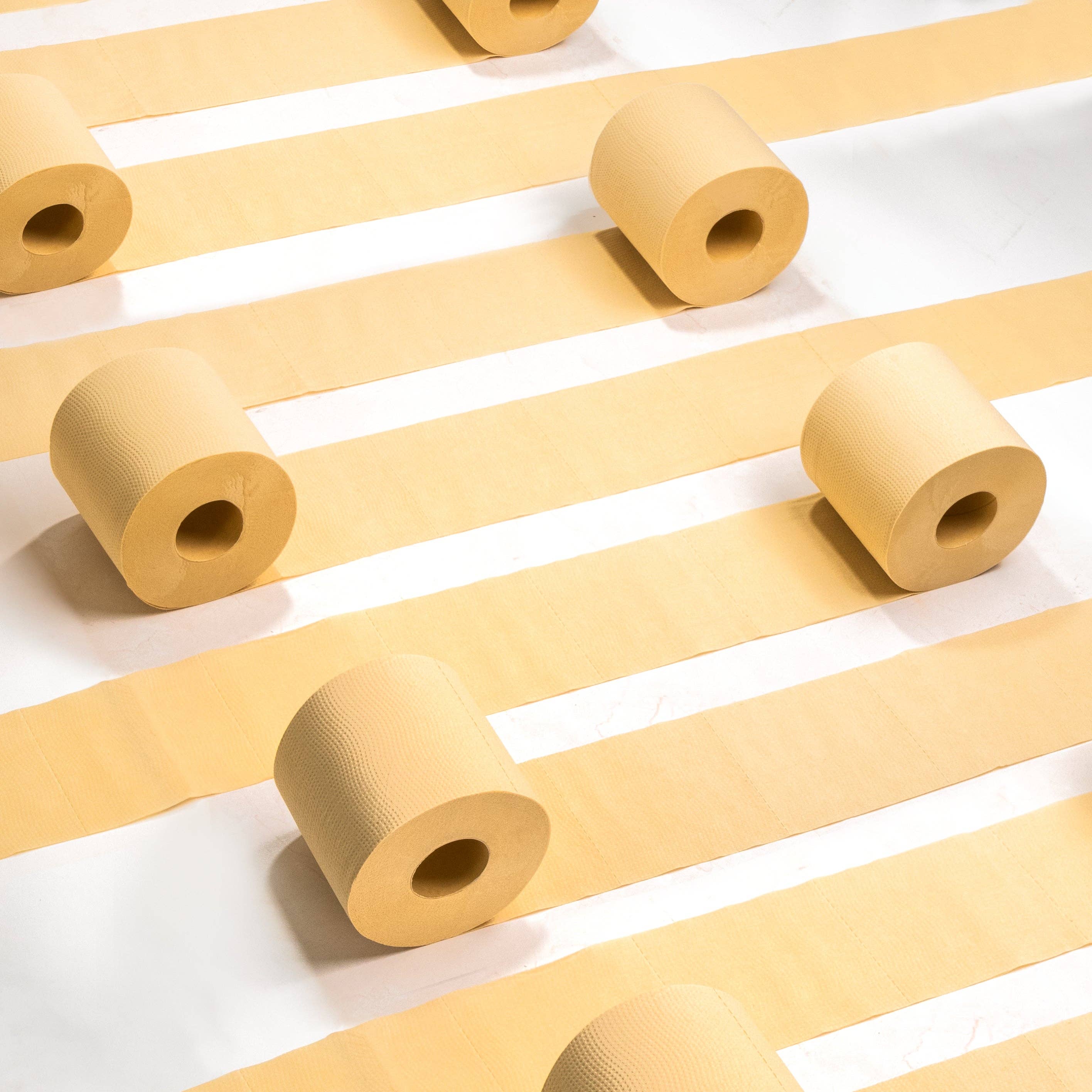 Rustic Strength - Wholesale Toilet Paper - Bamboo Toilet Paper10