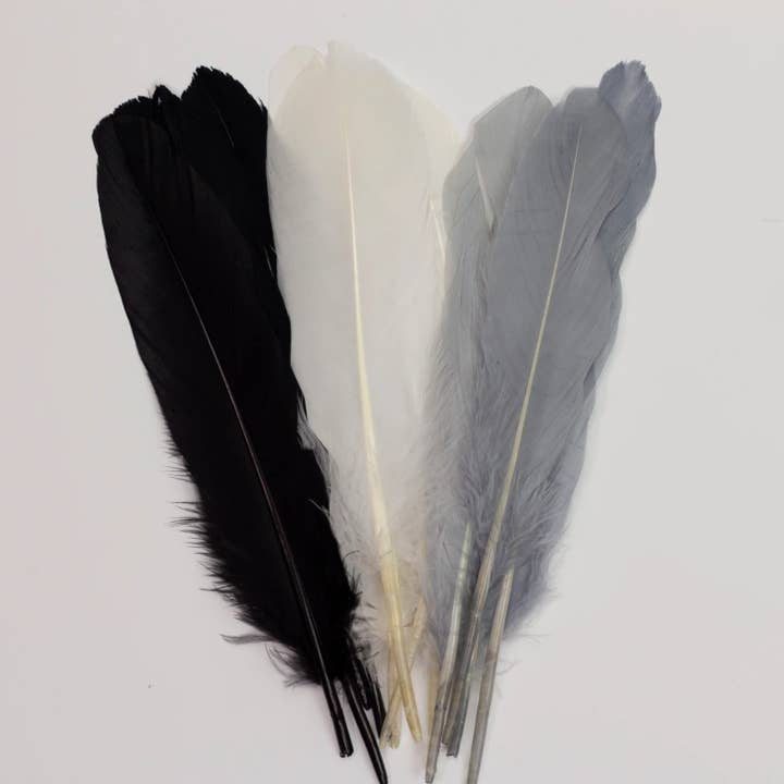 Zucker Feather Products - Wholesale Craft Supplies - Goose Feathers 7-8" - 12 pcs - Black and White