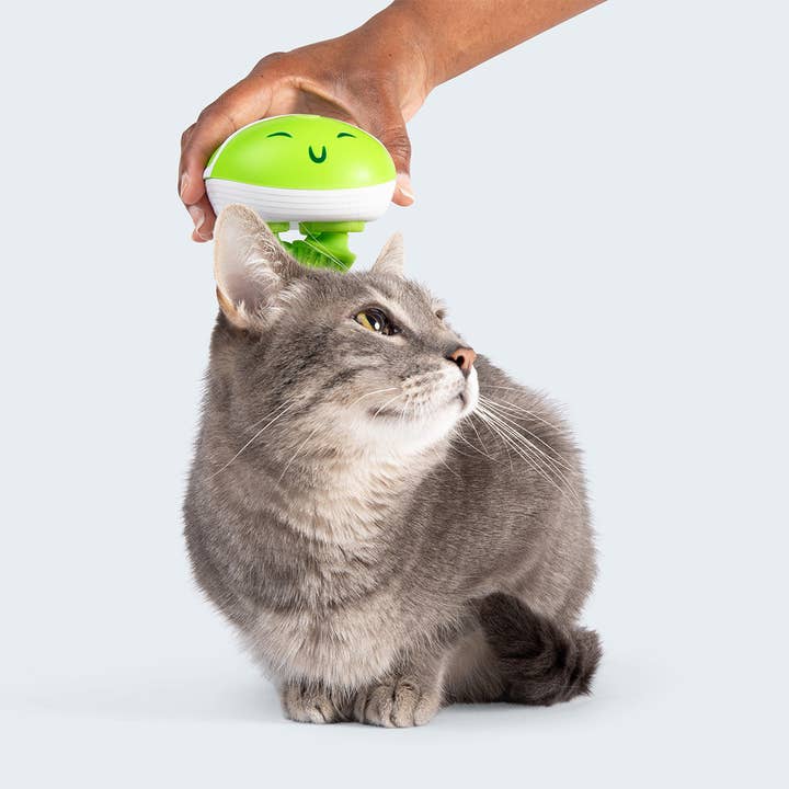 What Do You Meme - Wholesale Pet Toy - Dog - Paws & Relax: The Ultimate Pet Massager