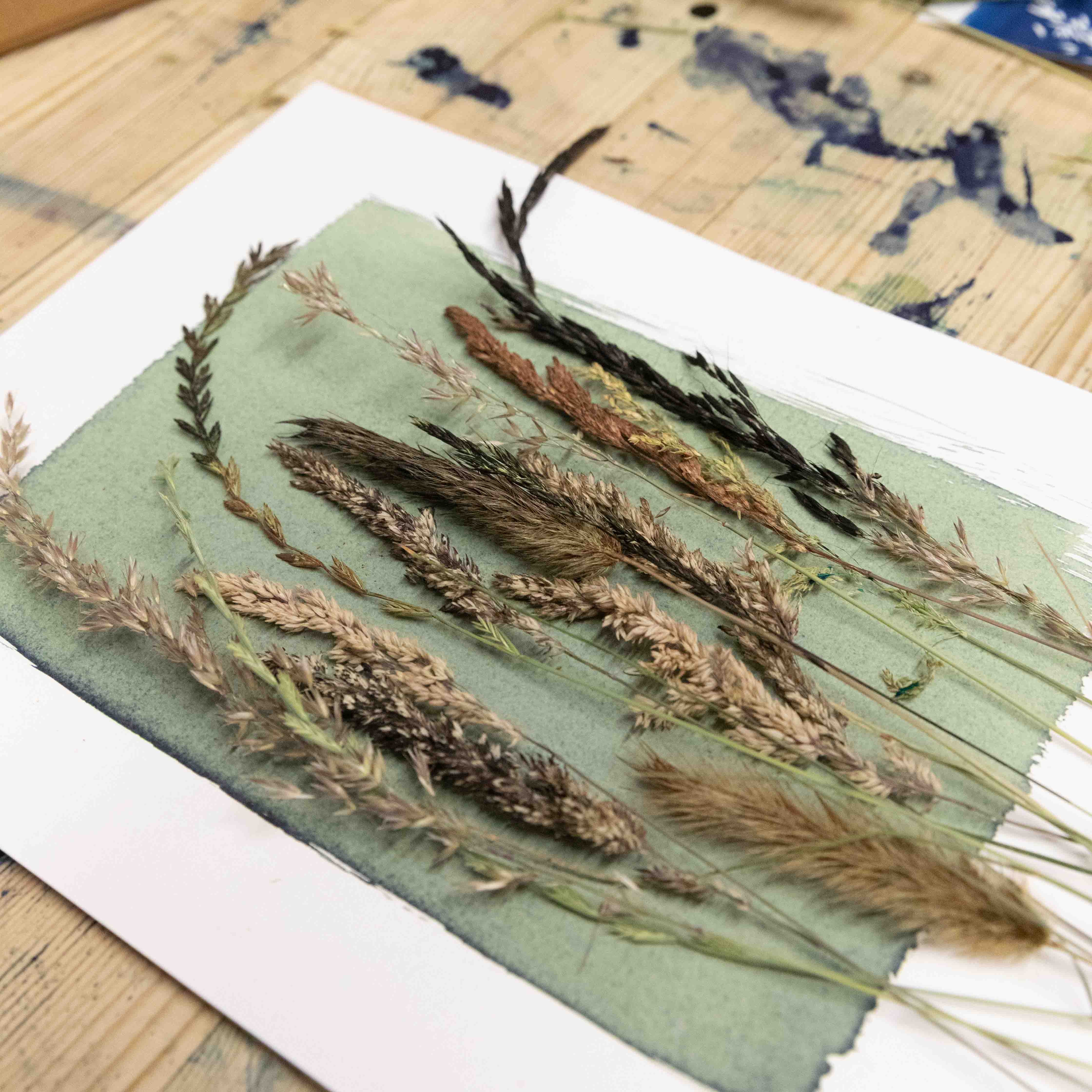 The Wild Darkroom – wholesale DIY craft kit – Cyanotype Printing Paper A45