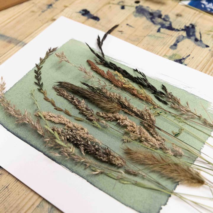 The Wild Darkroom – wholesale DIY craft kit – Cyanotype Printing Paper A45