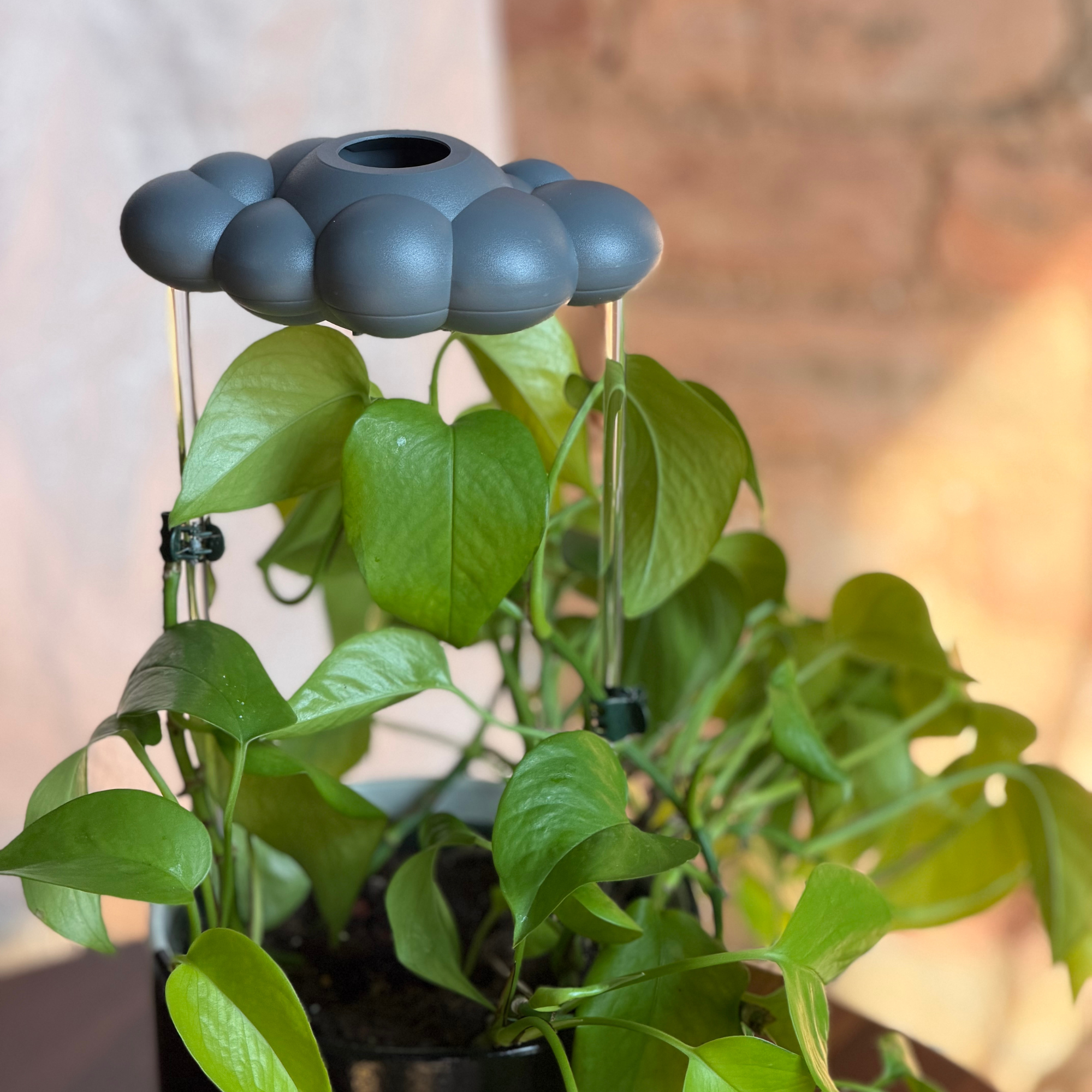 The Cloud Makers - Wholesale Watering Can - Stormy Cloud Boutique Pack with Charm Bundle1