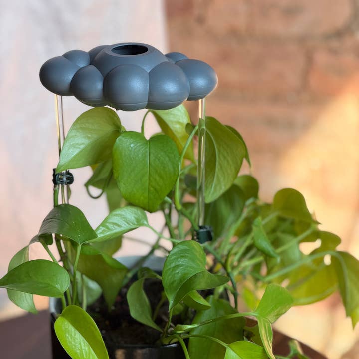 The Cloud Makers - Wholesale Watering Can - Stormy Cloud Boutique Pack with Charm Bundle1