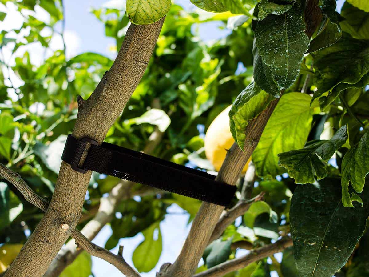 JARDIN Y NATURA OUTDOOR & GARDEN PRODUCTS SL - Wholesale Garden Tool - Elastic Velcro strap (5u) - BELTCRO TIE1