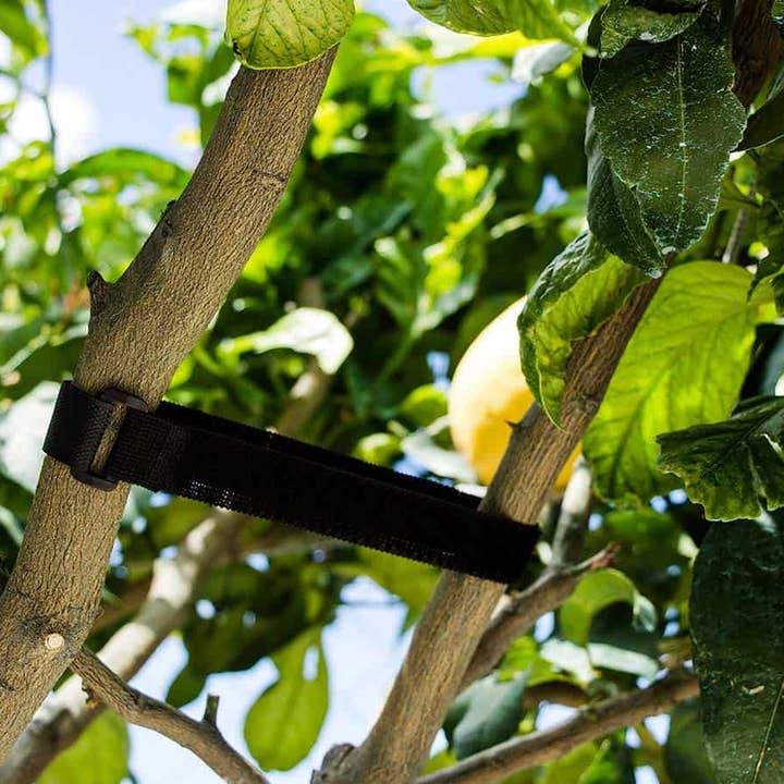 JARDIN Y NATURA OUTDOOR & GARDEN PRODUCTS SL – Großhandel Gartenwerkzeug – ELASTISCHES KLETTVERSCHLUSS-BAND (5 Stück) – BELTCRO TIE1