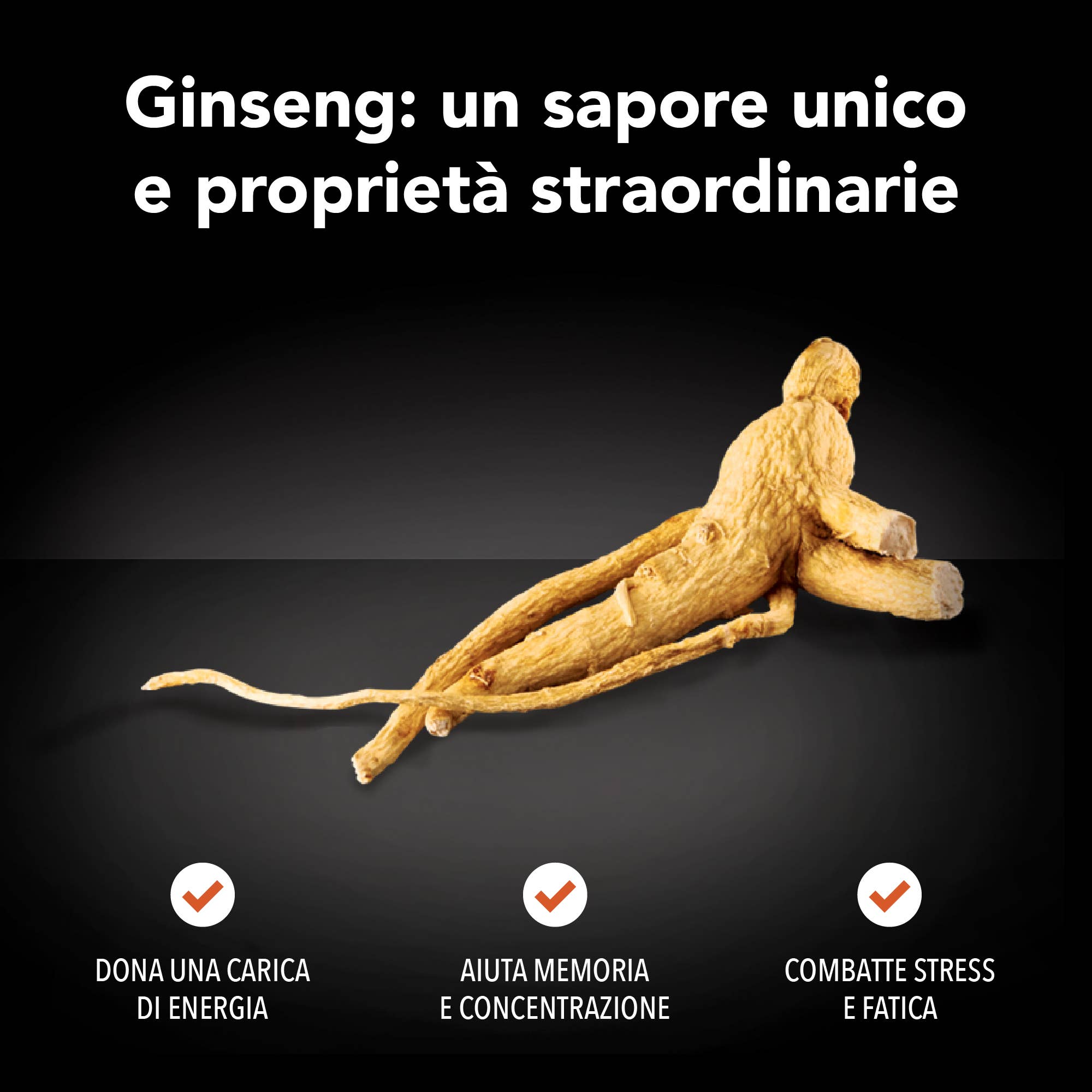 KING CUP - Vendita all'ingrosso Caffè/espresso istantaneo - Caffè Freeze Dried - Ginseng5