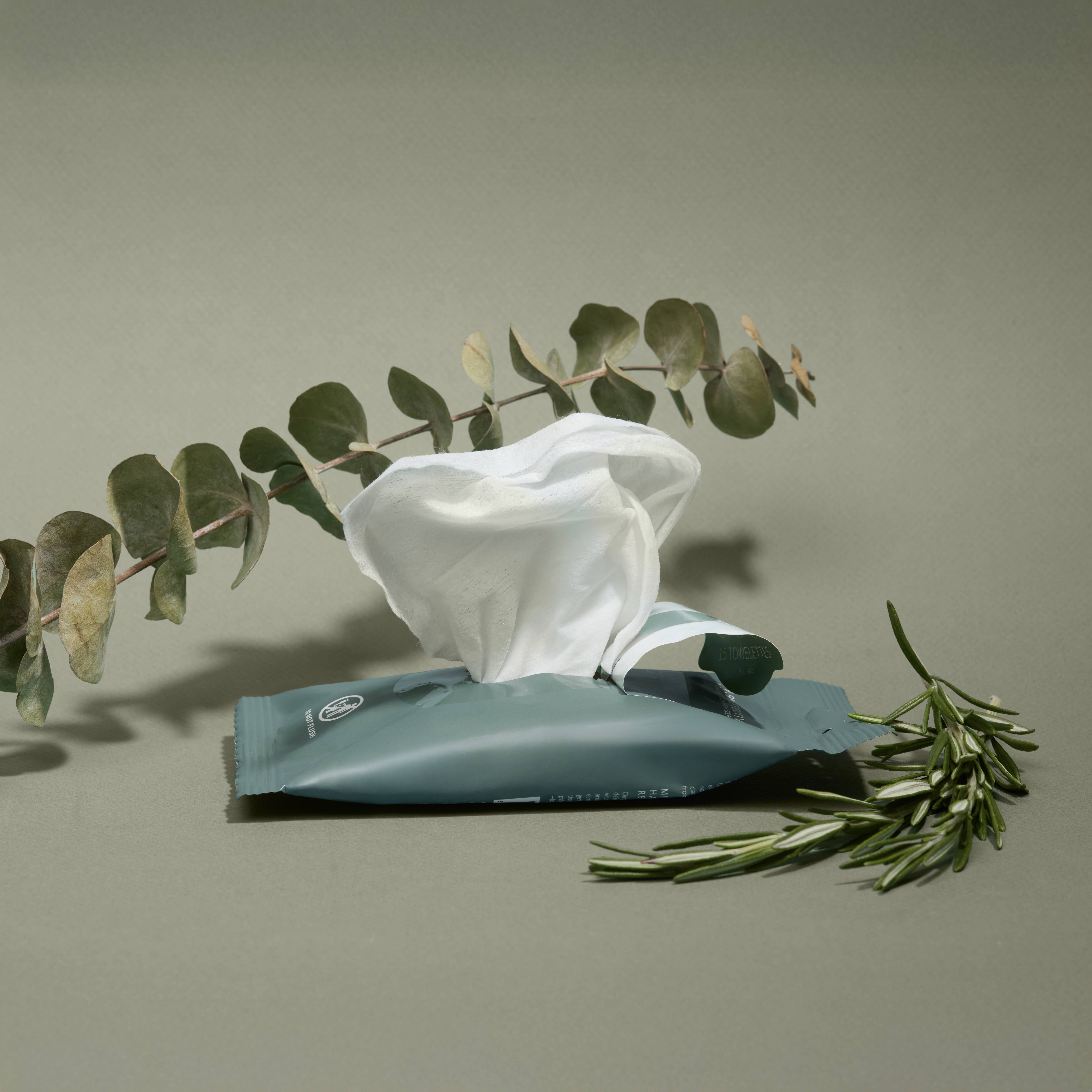 Noshinku - Vente Désinfectants pour les mains - Lingettes de voyage désinfectantes et nourrissantes pour les mains à l'eucalyptus (Copie)5