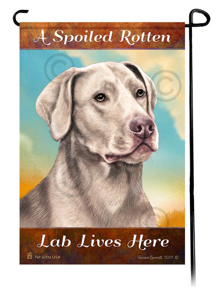 American Silver, un labrador retriever pourri gâté, vit... pour la vente par Pet Gifts USA, LLC