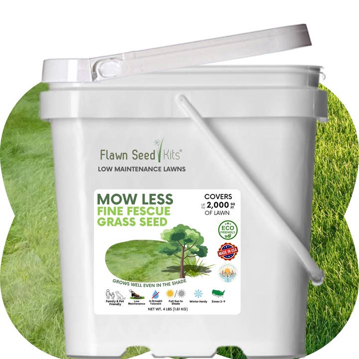 Economy Mow Less Fine Fescue Grass Bulk Seed Pails for wholesale by Flawn Seed Kits