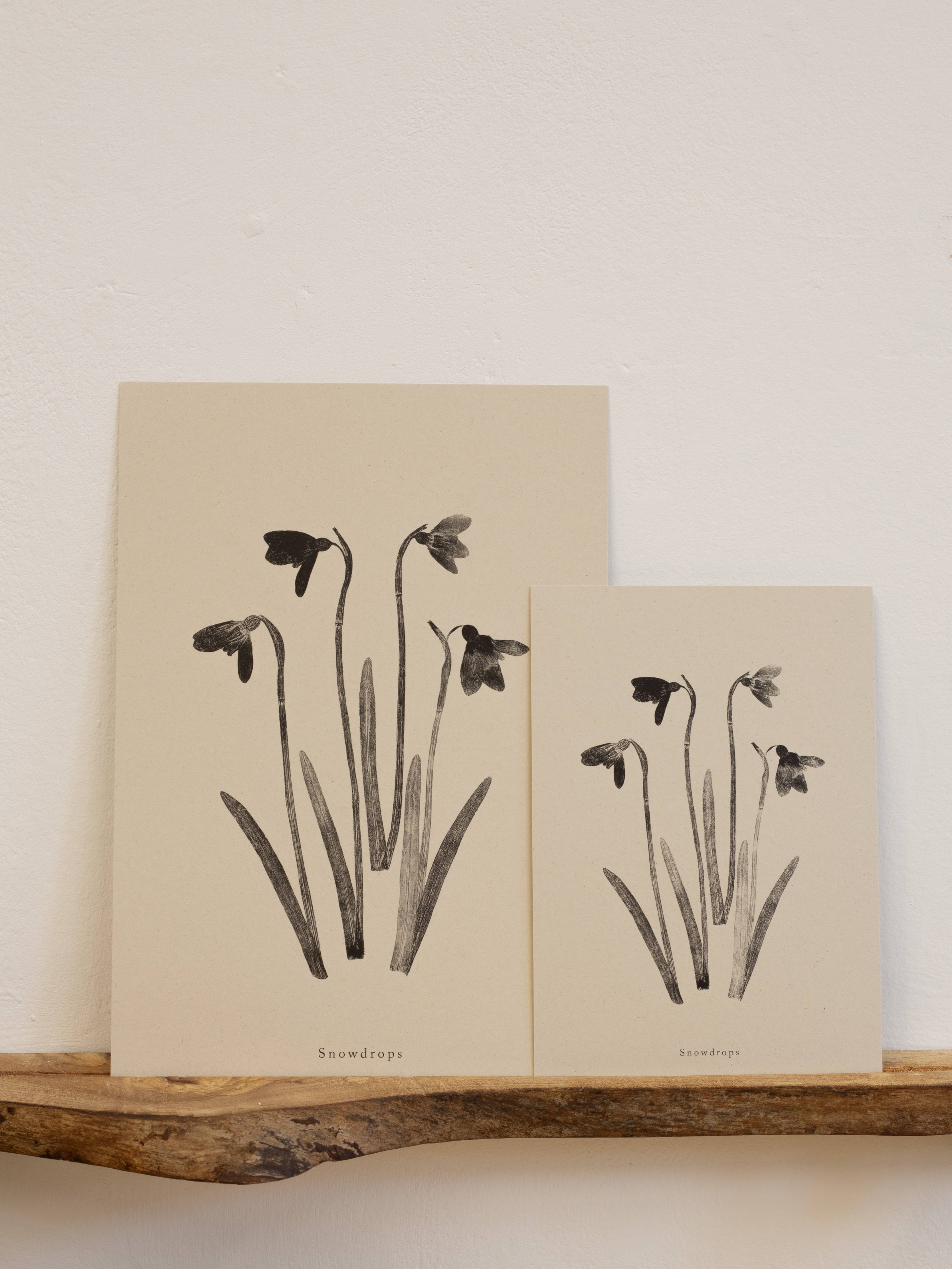 Alicia Breakspear - Wholesale Art Print - Botanical Art Print A5 A4 A3 Snowdrops Flower 6