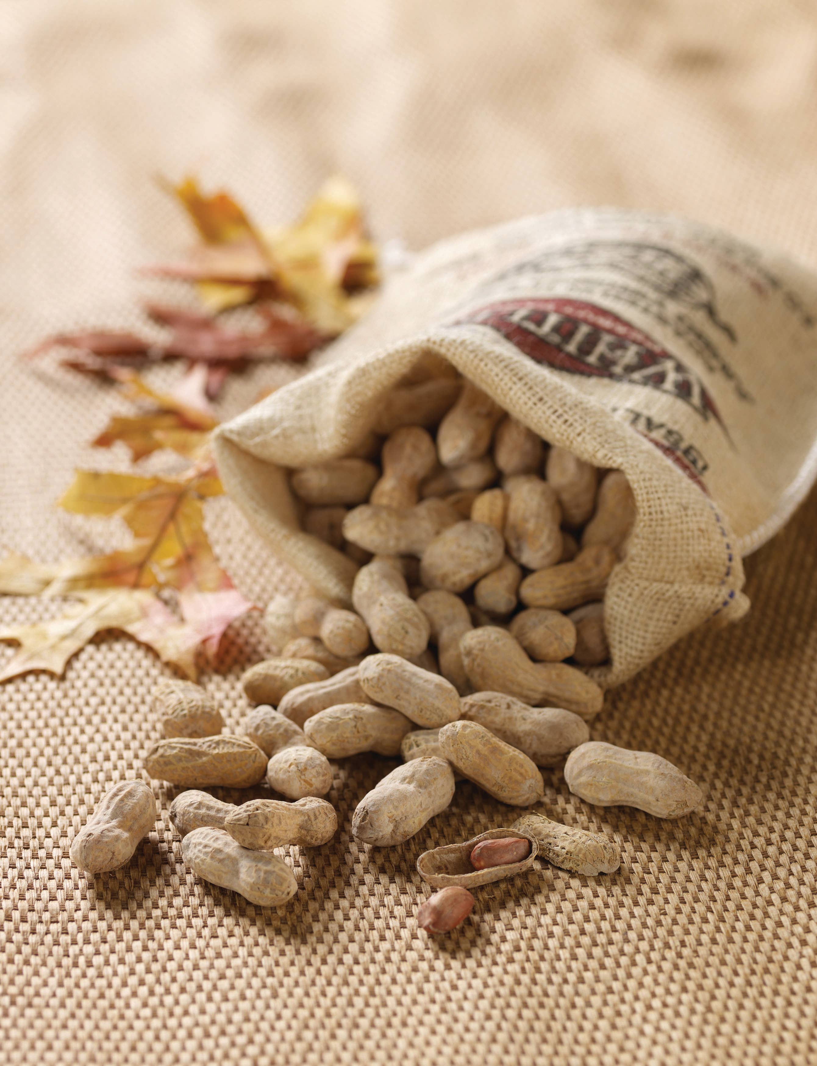 Whitley's Peanut Factory - Wholesale Nuts - 12 oz. Burlap Bag Salted Roasted-n-Shell Peanuts1