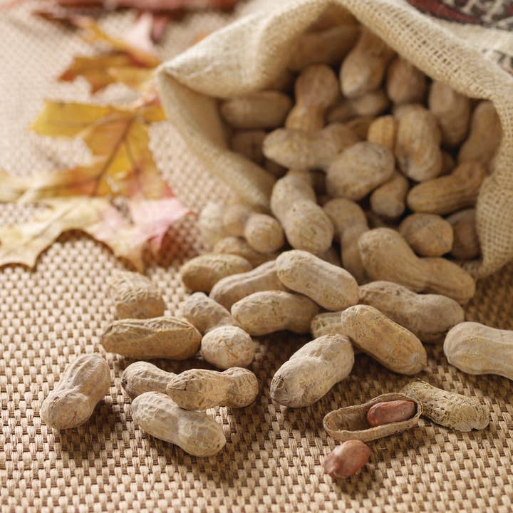 Whitley's Peanut Factory - Wholesale Nuts - 24 oz. Burlap Bag Salted Roasted-n-Shell Peanuts1