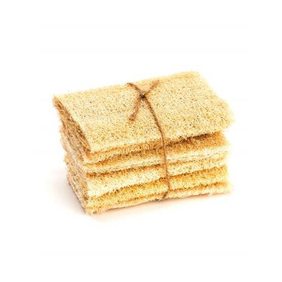 Brush With Bamboo - Wholesale Loofah - Compostable Loofah Scrubber - Pack of 6