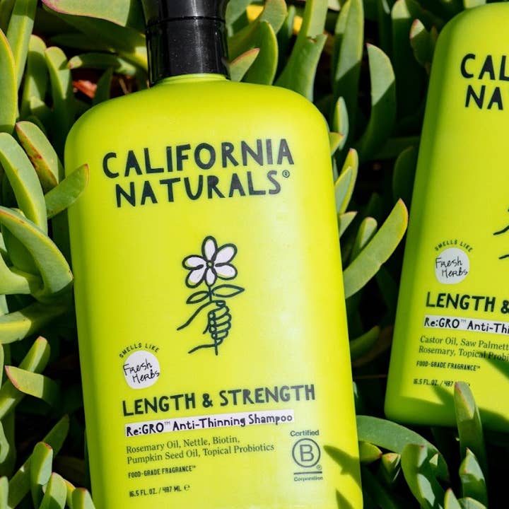California Naturals - Wholesale Hair Shampoo - Re:Gro Anti-Thinning Shampoo1