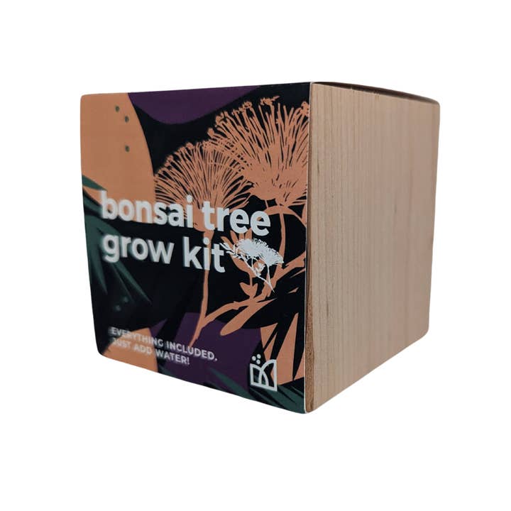 Sprigbox - Wholesale DIY Craft Kit - Bonsai Tree Grow Kit | Wooden Planter Box | Indoor Gardening6
