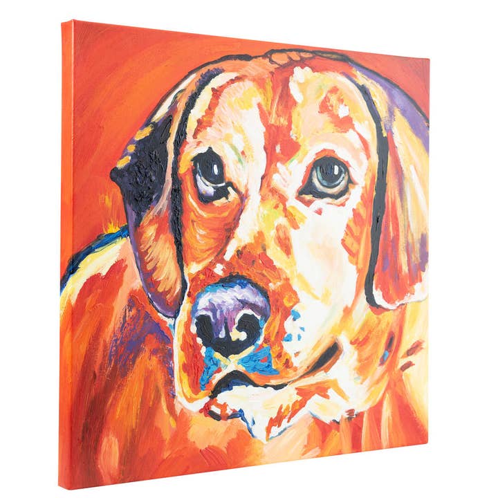 Fun Animal Art – wholesale Målning/Teckning – Vacker Vibrant Labrador | Handmålad olja på duk | 60x60cm. Inramad1