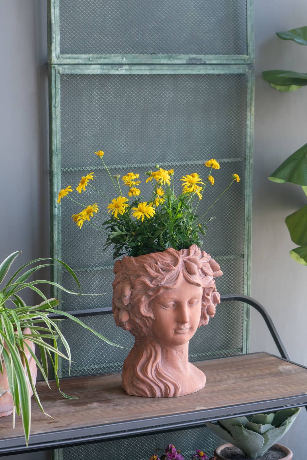 A&B Home Group Inc. - Wholesale Plant Pot - 8x9x11.5" Grecian Muse Cement Planter2