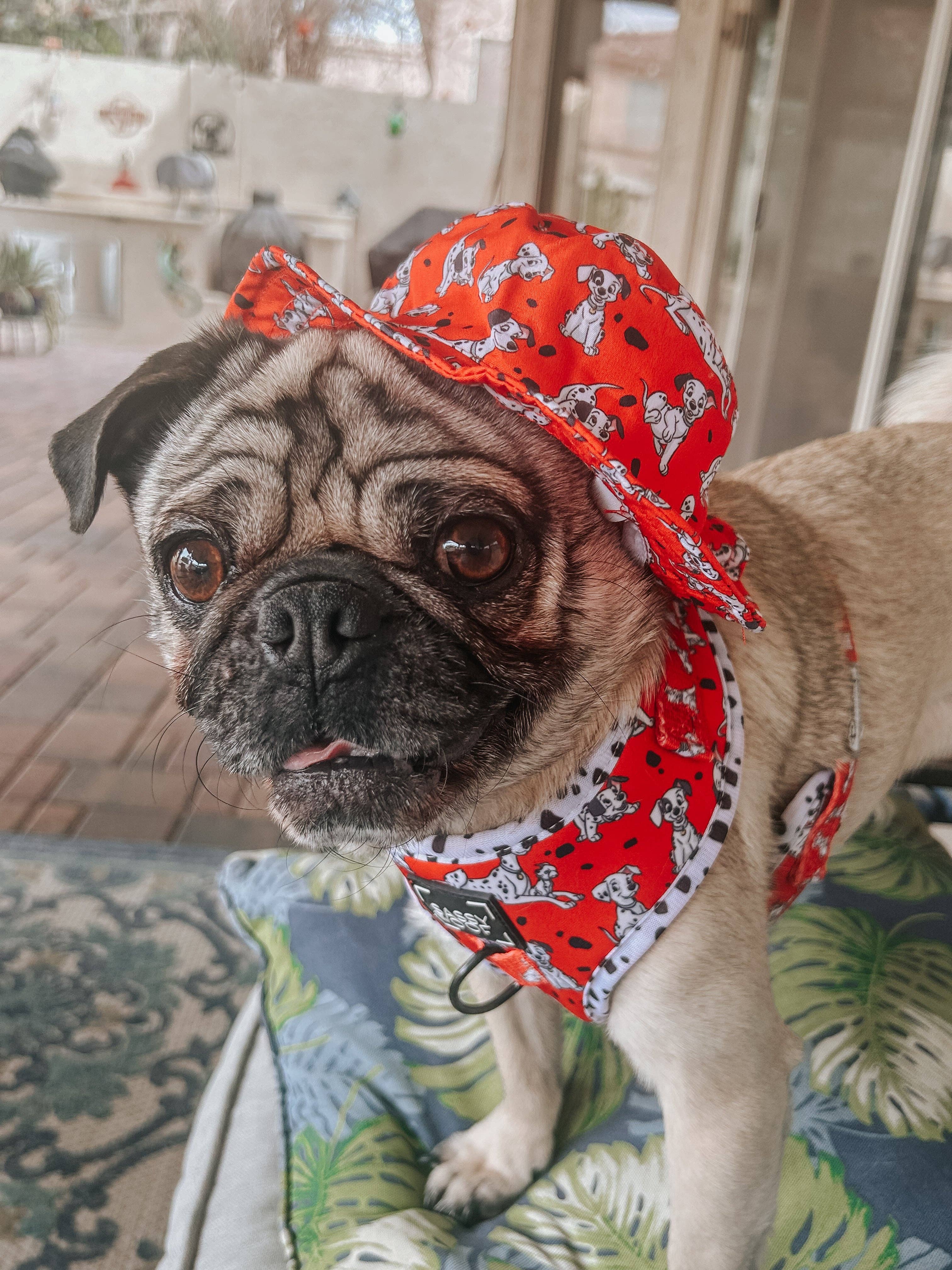 SASSY WOOF - Wholesale Pet Hat - Dog - Dog Bucket Hat - Disney's 101 Dalmatians7