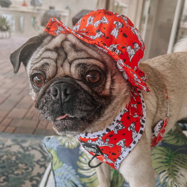 SASSY WOOF - Wholesale Pet Hat - Dog - Dog Bucket Hat - Disney's 101 Dalmatians7