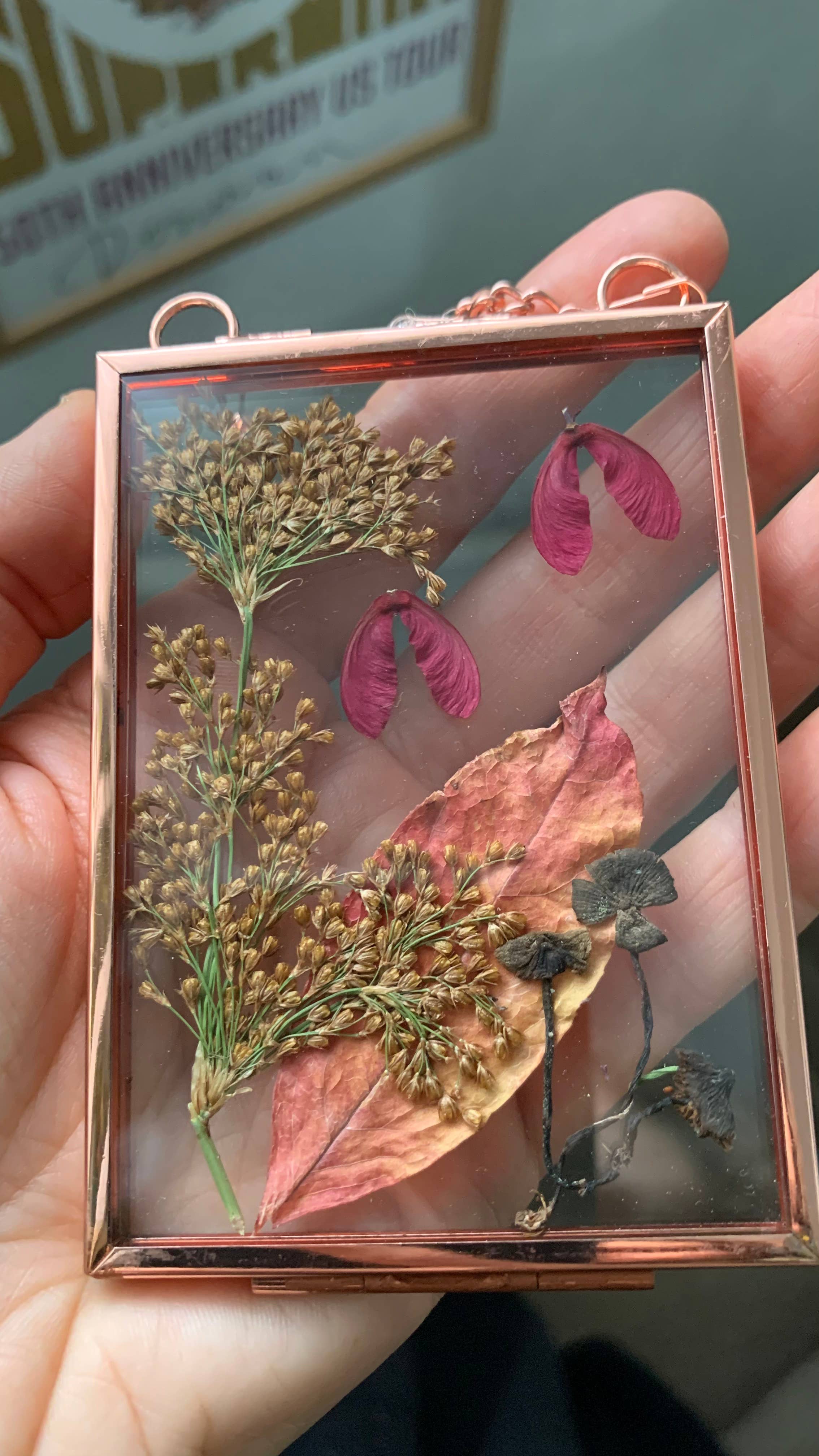 Twig and Snip - Wholesale Dried/Pressed Flowers - Miniature Pressed Flower & Fungi Windows 3.5"x 2.5"3