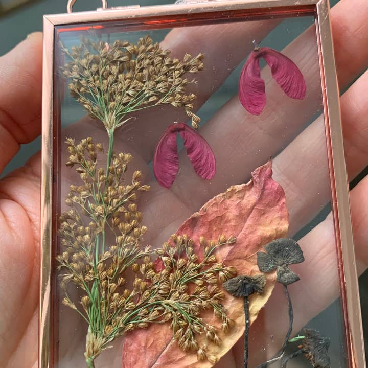 Twig and Snip - Wholesale Dried/Pressed Flowers - Miniature Pressed Flower & Fungi Windows 3.5"x 2.5"3