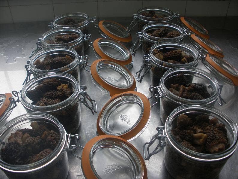 L'armoire A Conserves - Wholesale Preserves - MORELS 180G3