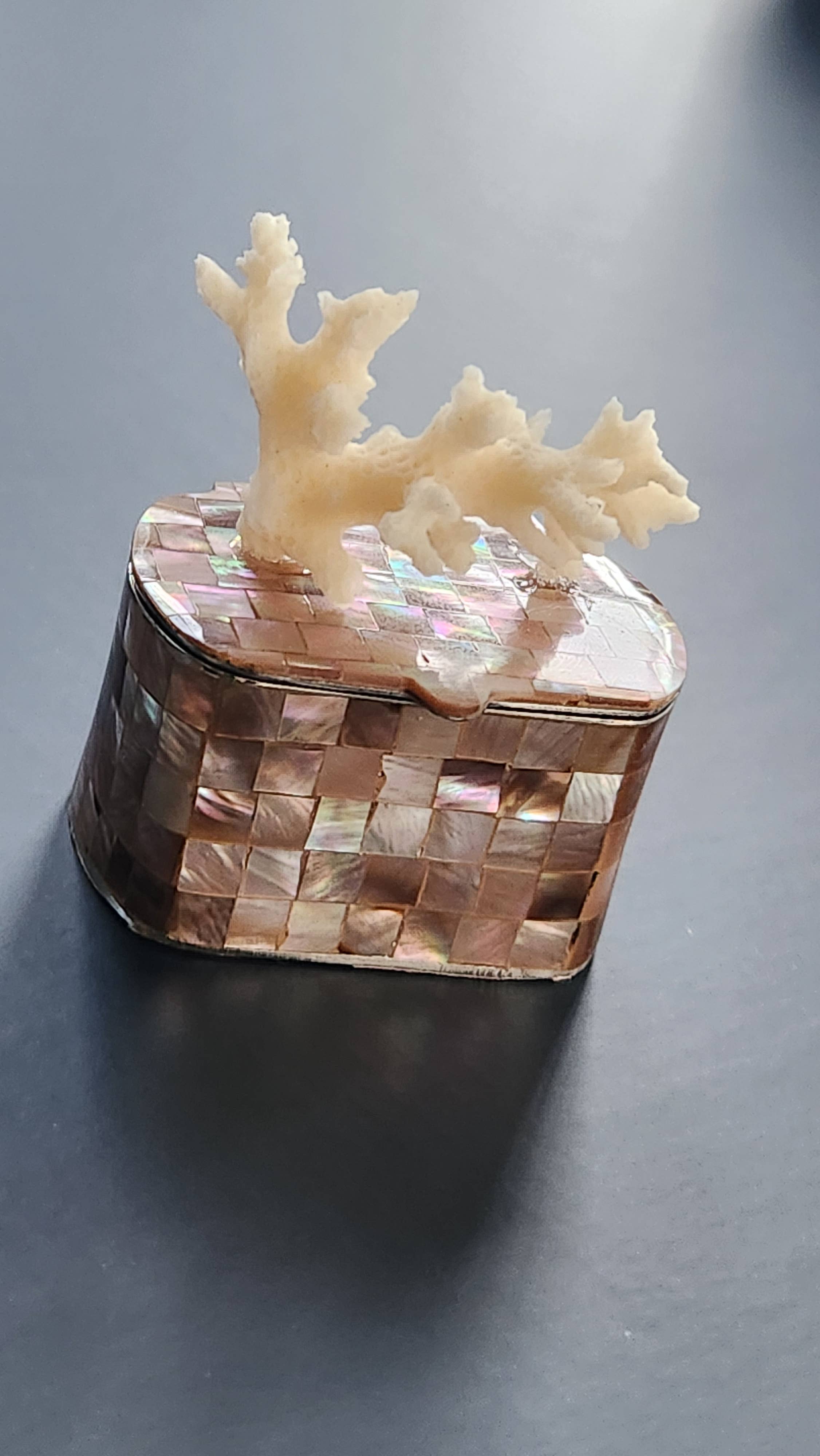 White Tulip Boutique - Wholesale Decorative Box - Mini Tawny Abalone MOP Shell Trinket Pill Box3