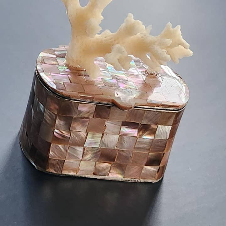 White Tulip Boutique - Wholesale Decorative Box - Mini Tawny Abalone MOP Shell Trinket Pill Box3