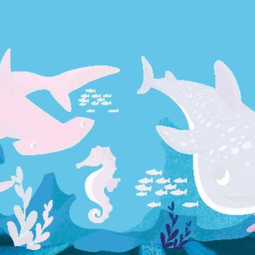 Axis Toys & Gifts - Wholesale Colouring and activity book – kids and baby - Sassi Free the Colours Reusable Paint Brush Book - The Sea6