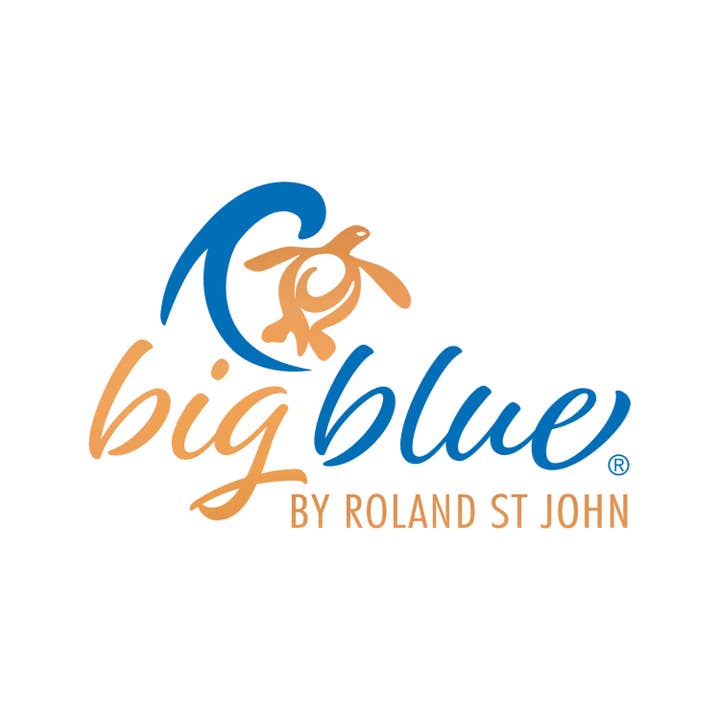 Big Blue by Roland St John - Wholesale Keychain - Unisex - Sea Turtle Keychain – Sea Life Collection – Pewter10