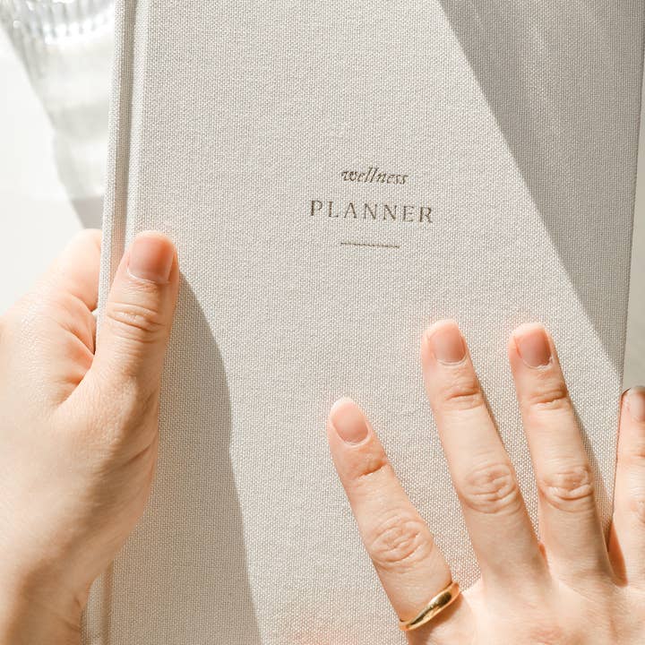 Strawberry Goose - Wholesale Planner - Wellness Planner