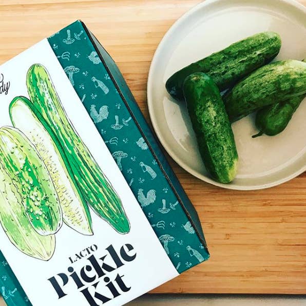 FarmSteady - Wholesale DIY Food Kit - Pickle Making Kit