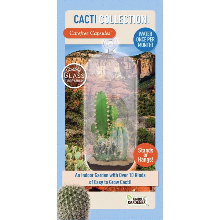 Silver Circle Products - Wholesale Terrarium - Cacti Collection Carefree Capsule Glass Terrarium