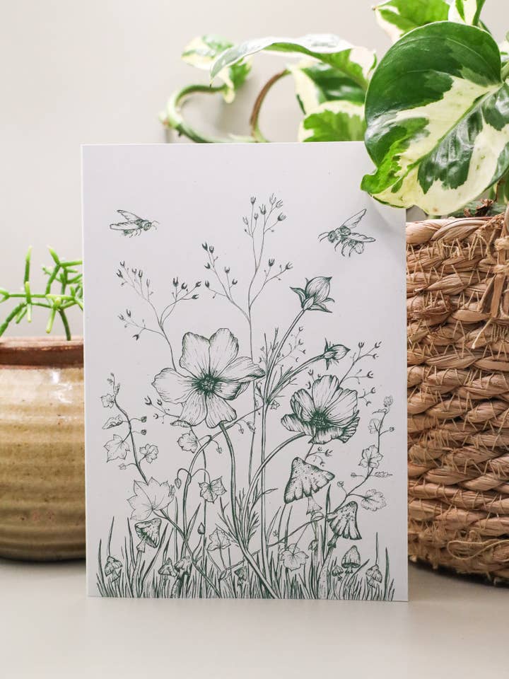 Cosmos Flower Botanical Drawing Greeting Card for wholesale by Jya Raine