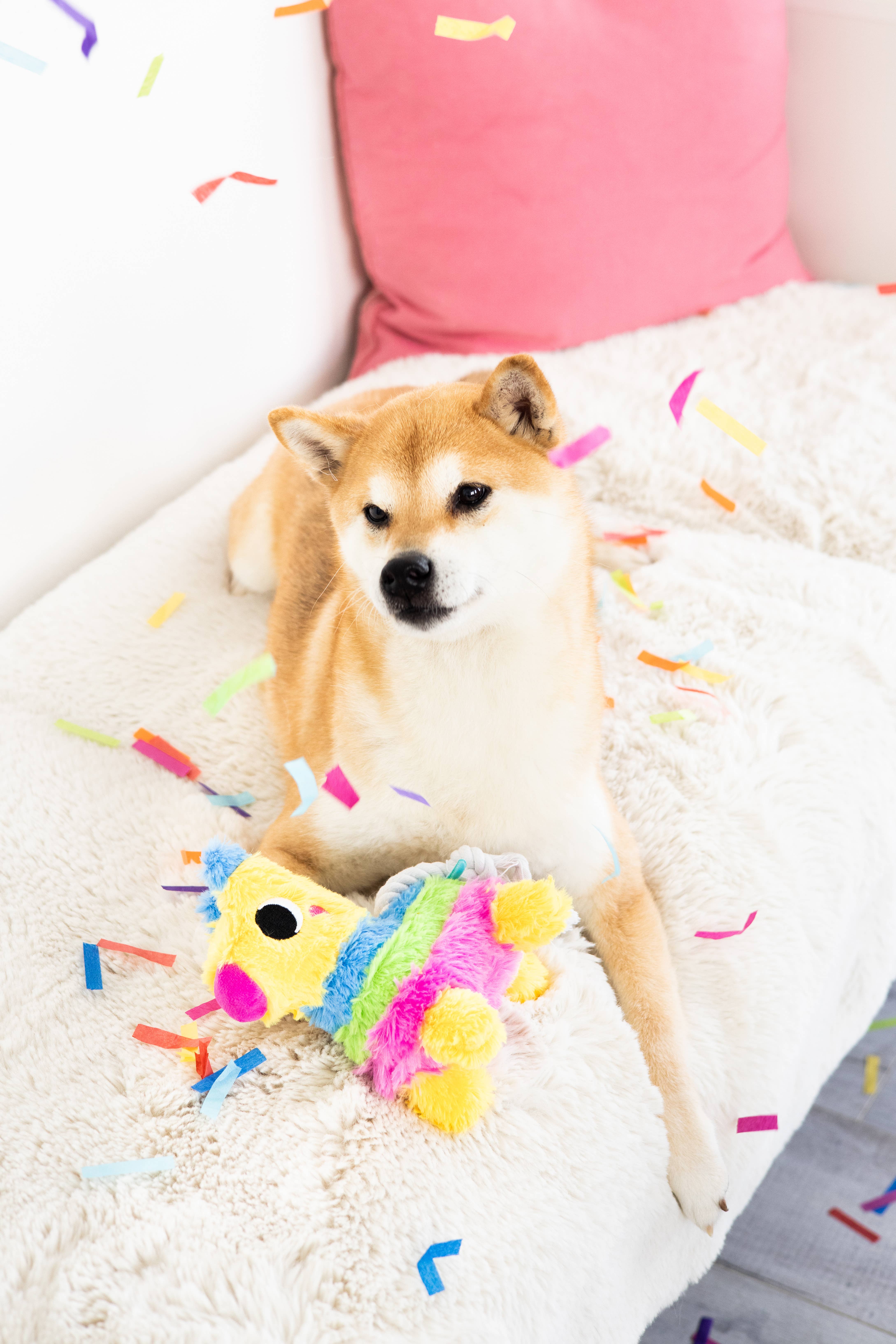 Pearhead - Wholesale Pet Plush Toy - Dog - Puppy Pinata Dog Toy2