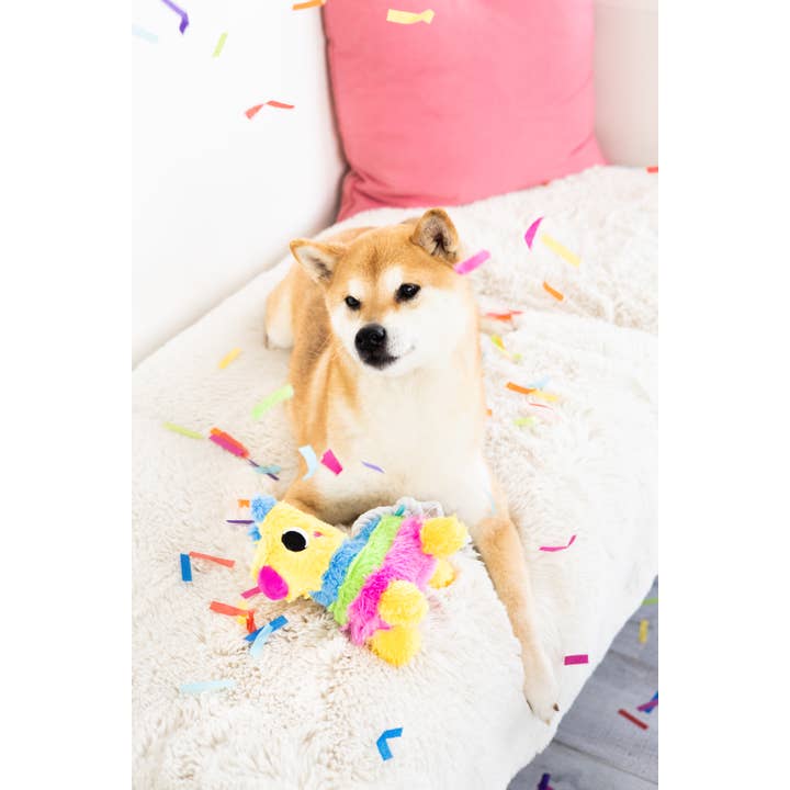 Pearhead - Wholesale Pet Plush Toy - Dog - Puppy Pinata Dog Toy2