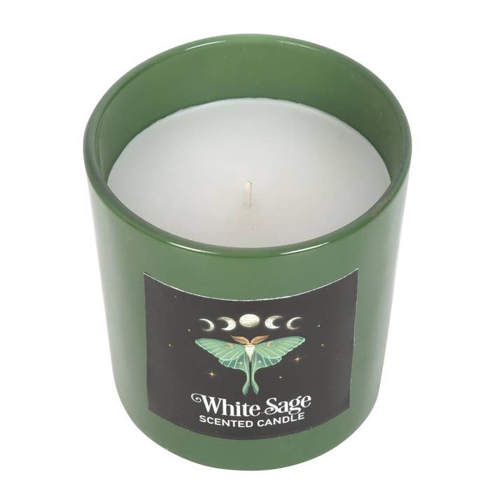 Pacific Trading - Wholesale Jar/Filled Candle - Dark Forest Luna Moth White Sage Candle2