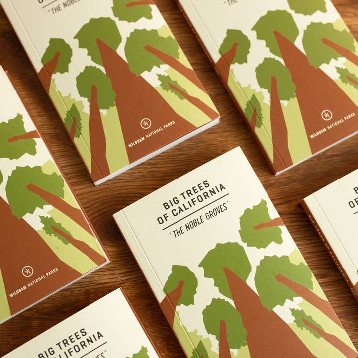 Wildsam Field Guides - Wholesale Nature Guide - Big Trees of CaliforniaÂ