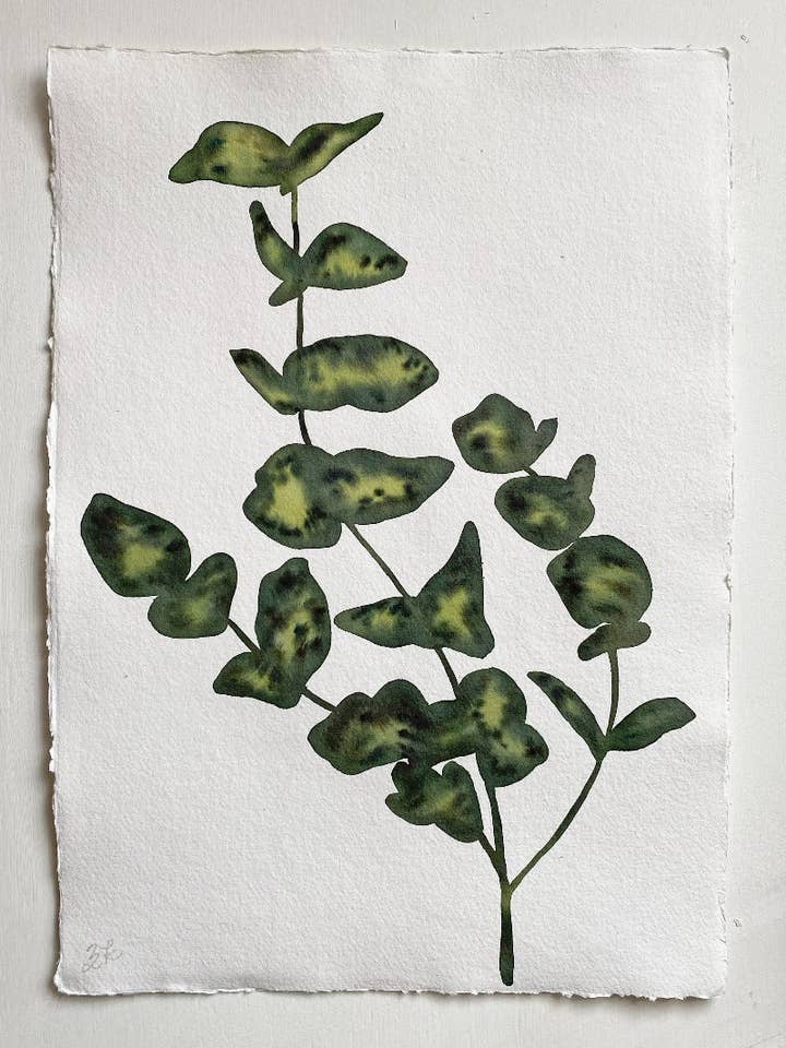 Oliven Eucalyptus for engroshandel hos Zoë Kozyrakis Art Studio