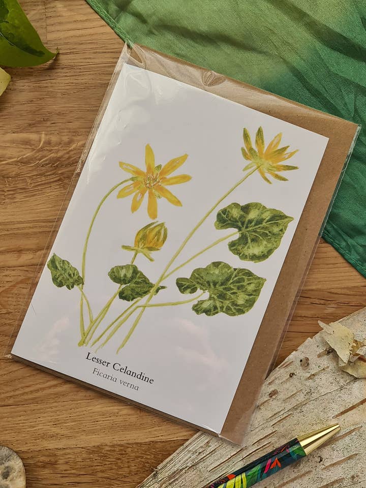 Celandine - Tarjeta de Felicitación para venta al por mayor de At the Cherry Tree