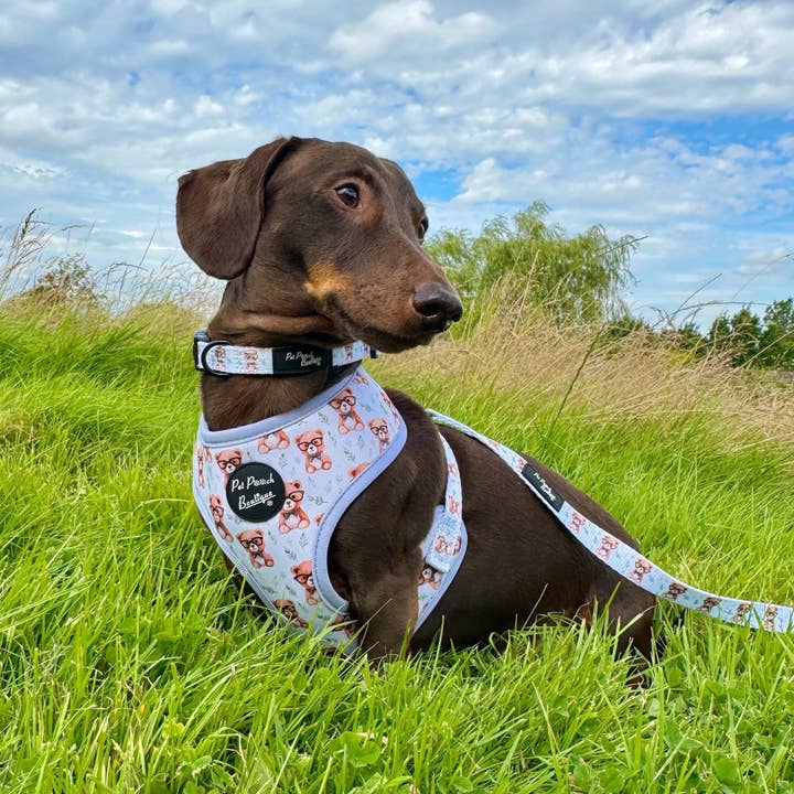Pet Pooch Boutique - Wholesale Pet harness – Dog - Rusty Bear Puppy Dog Harness 9