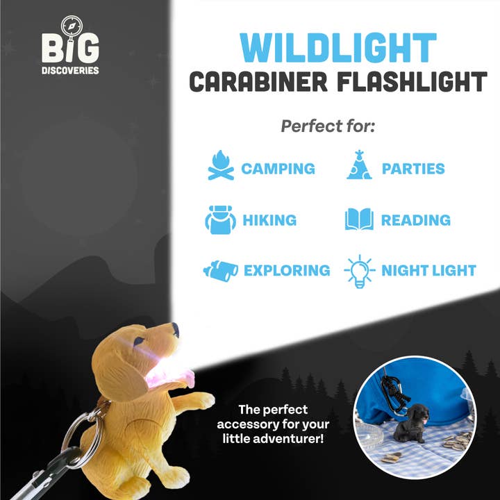 Big Discoveries / Sun Co. - Wholesale Light-Up Toy - Kids & Baby - WildLight Animal Carabiner Flashlight - Retriever Dog7